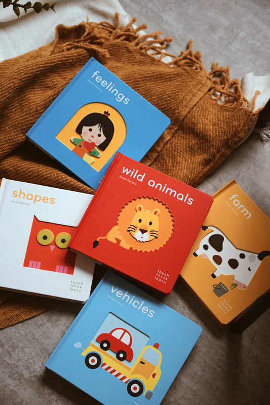 TouchThinkLearn Book Series